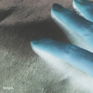 Artwork lagu "Tanya".